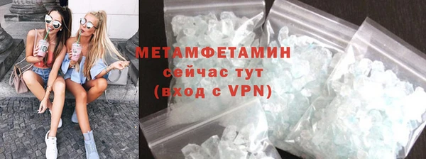 индика Няндома