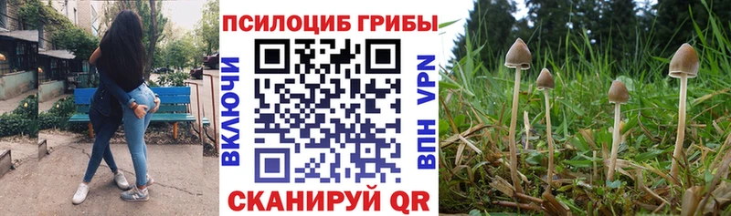 Галлюциногенные грибы Cubensis Каневская